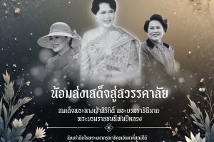 570531124_852896573931332 570531124_852896573931332